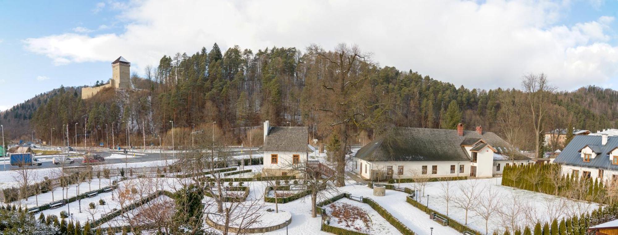 Villa Turris Apartamenty Przy Muszynskim Zamku ムシナ エクステリア 写真
