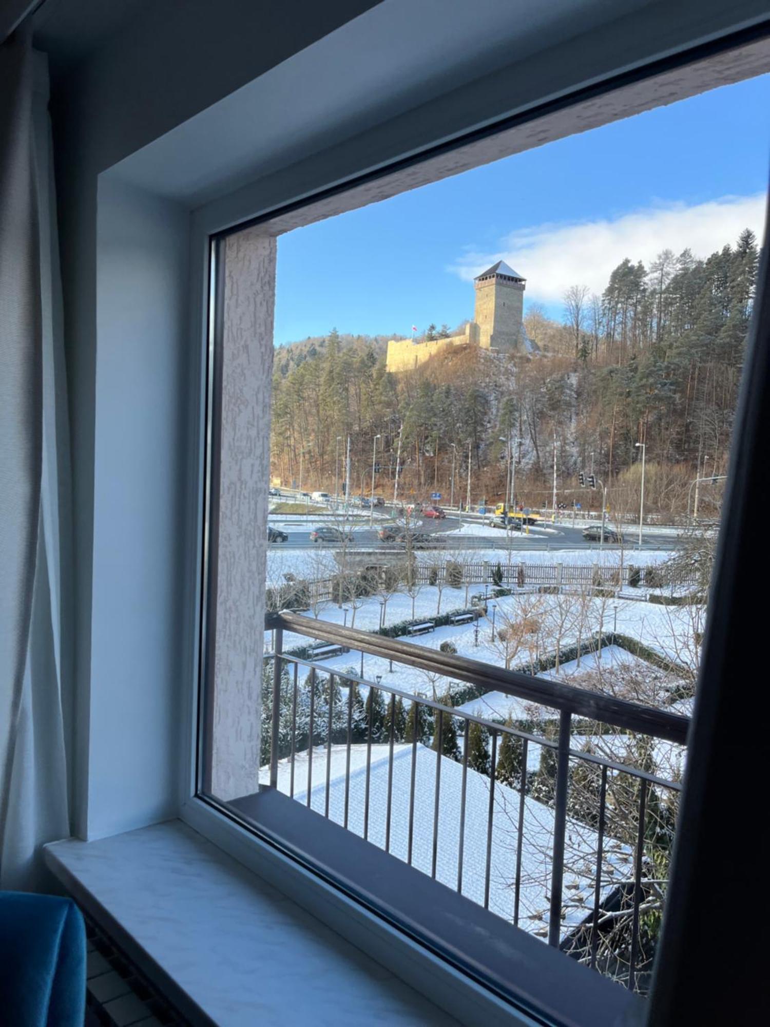 Villa Turris Apartamenty Przy Muszynskim Zamku ムシナ エクステリア 写真