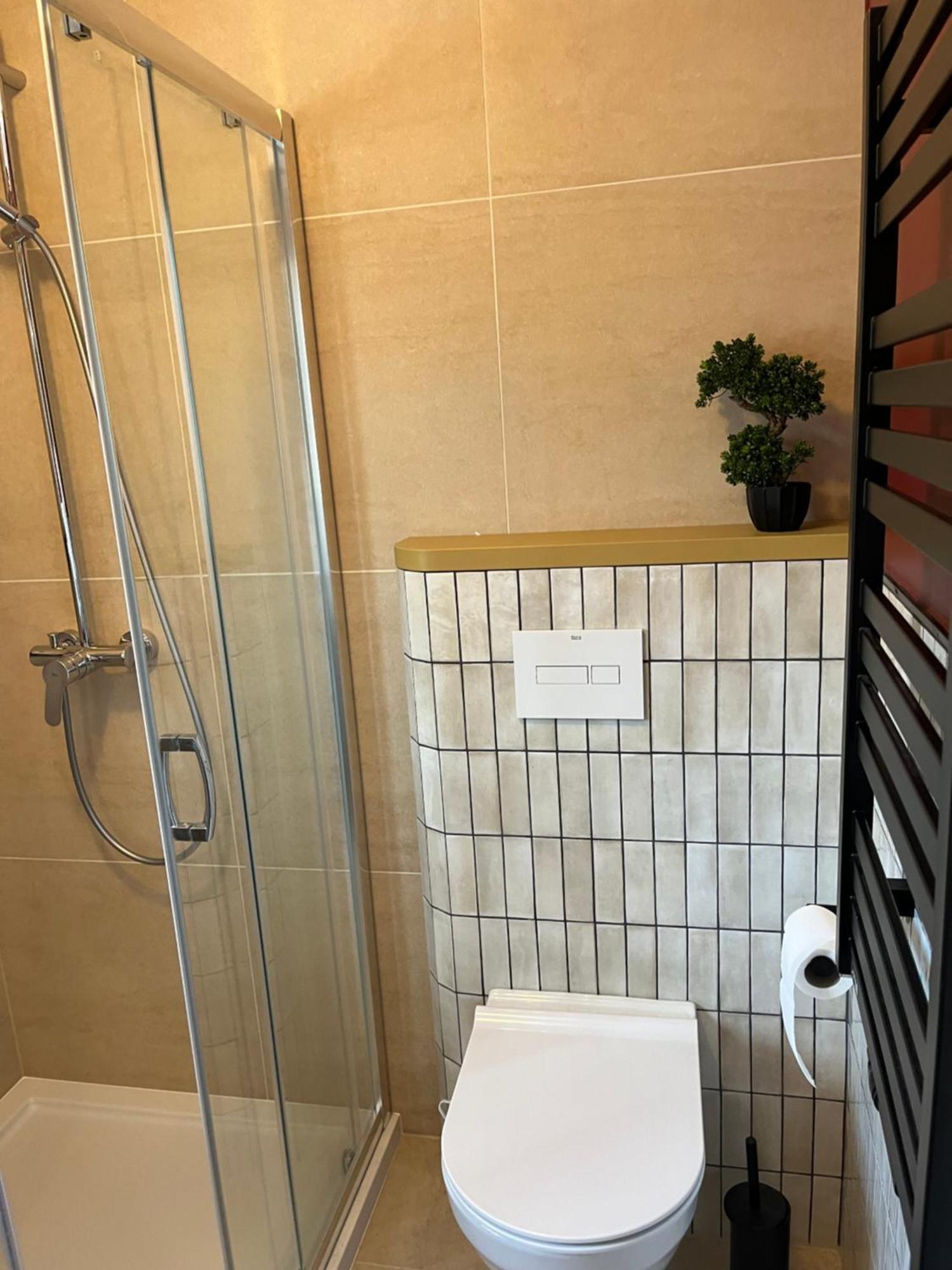 Villa Turris Apartamenty Przy Muszynskim Zamku ムシナ エクステリア 写真
